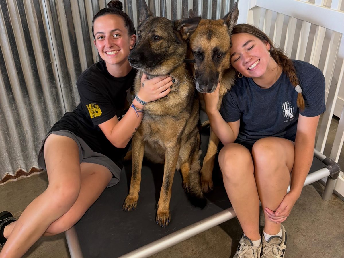 Stateline Canine trainers with two German Shepherd dogs at the training academy