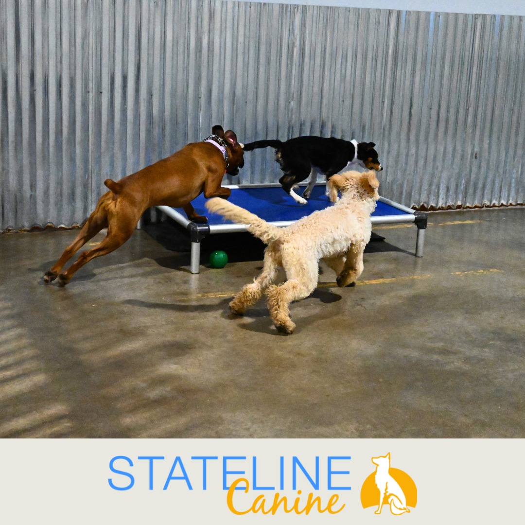 Stateline Canine facility